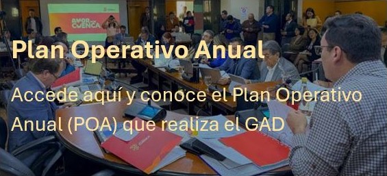 Texyo alternativo de Plan Operativo